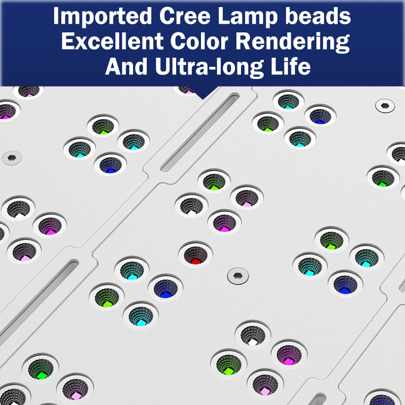 Aquarium & Marine Science Center - Hot KASSRAY T169/T215 CREEs LED Full