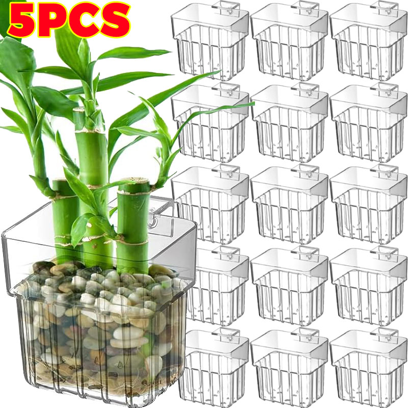Marine Aquarium Tanks - 1/5pcs Aquarium Decoration Plant Cup Transparent