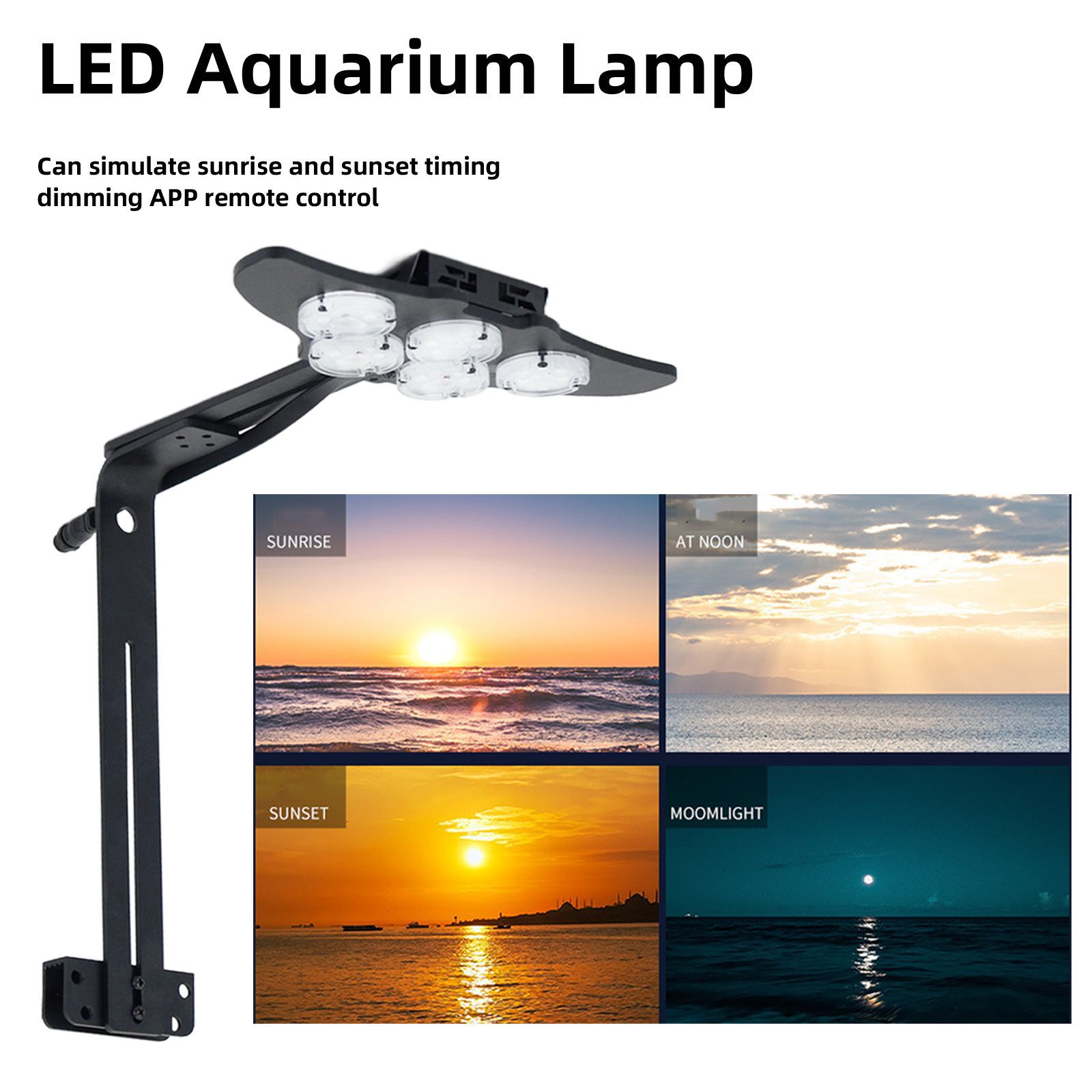 LED Marine Aquarium Coral Aqua - مراجعة Marine Aquarium Tanks وسعره