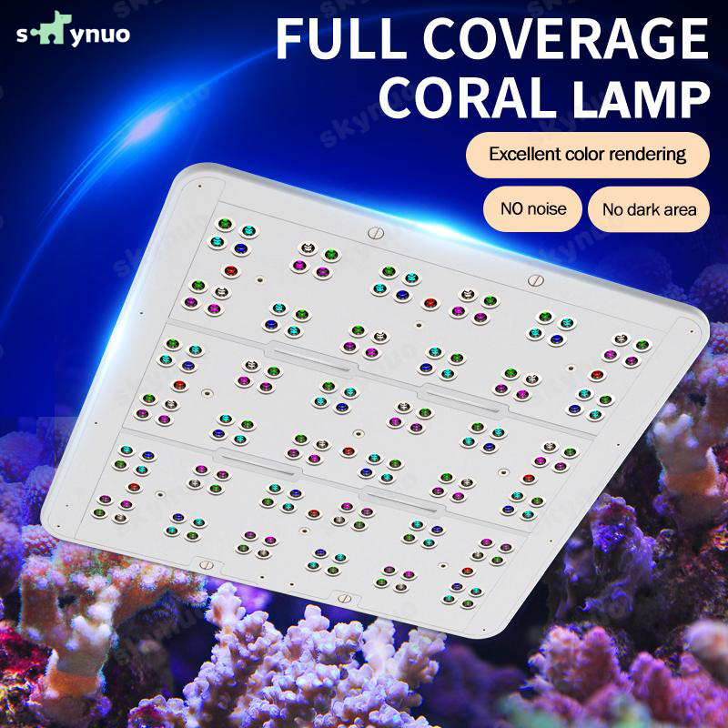 Hot KASSRAY T169/T215 CREEs LE - مراجعة Aquarium & Marine Science Center وسعره