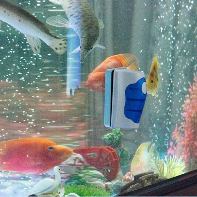 Fish Tank Glass Scraper Cleane - مراجعة Marine Aquarium Glass Scraper وسعره