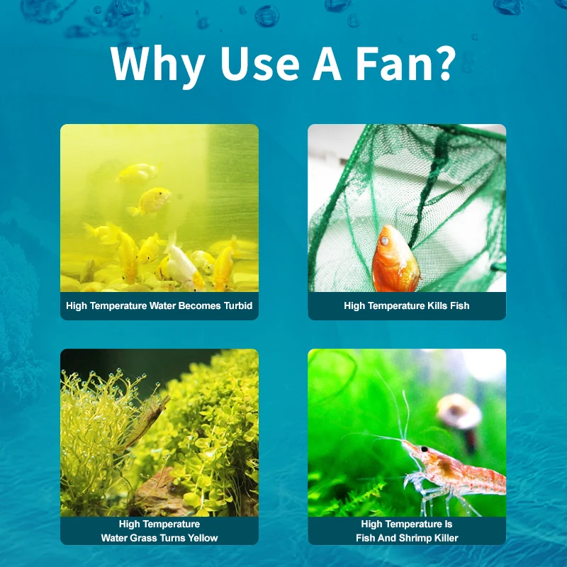Jebao Jecod ACF Series Aquariu - مراجعة Marine Aquarium Temperature وسعره
