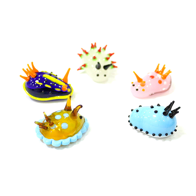Rare Cute Mini Marine Molluscs - مراجعة Marine Aquarium Japan وسعره