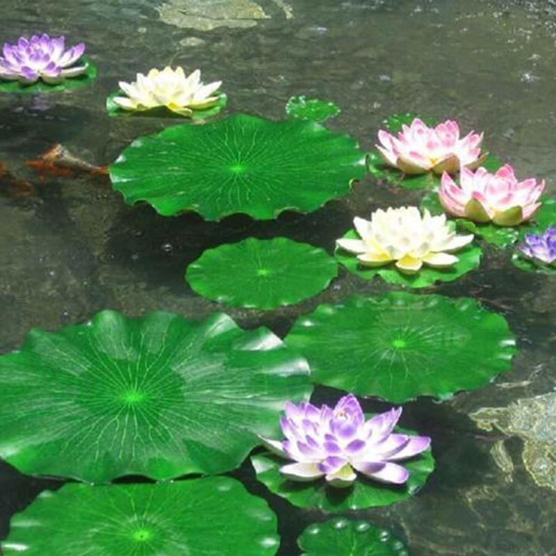 2026 Artificial Water Lily Lot - مراجعة Marine Aquarium Tanks وسعره
