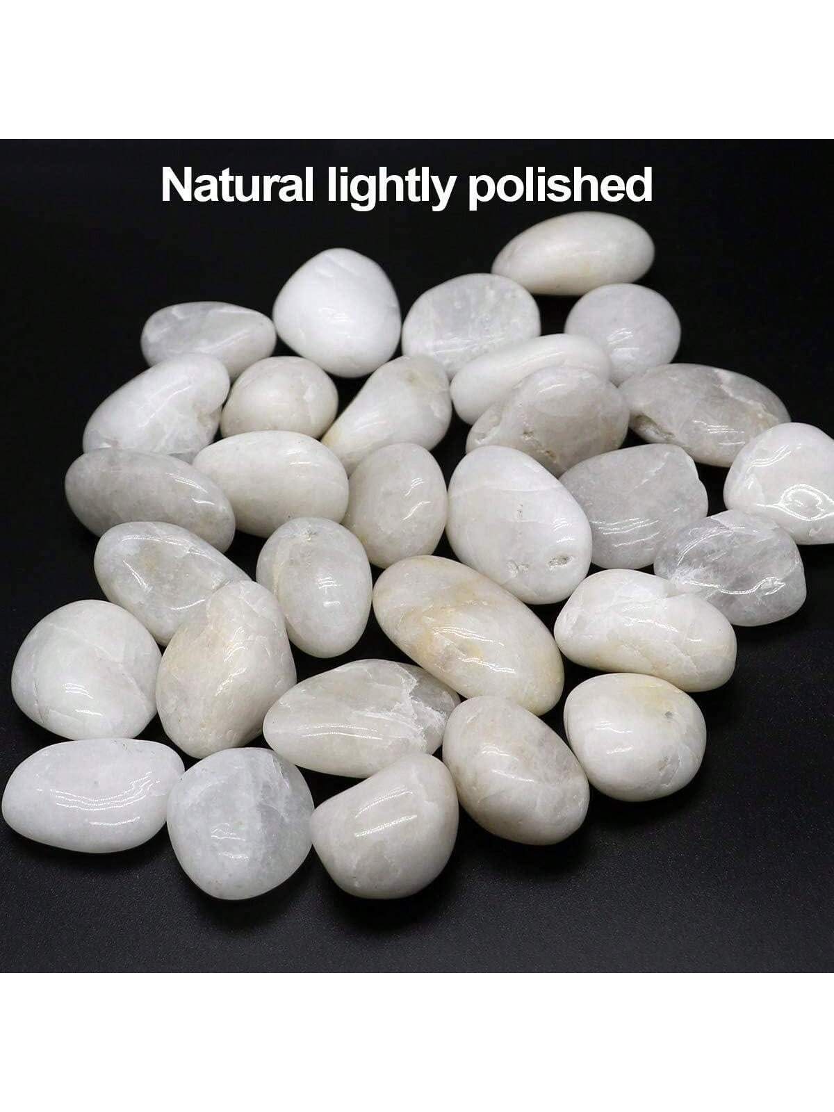 River Rocks Decorative Ornamen - مراجعة Marine Aquarium Tanks وسعره