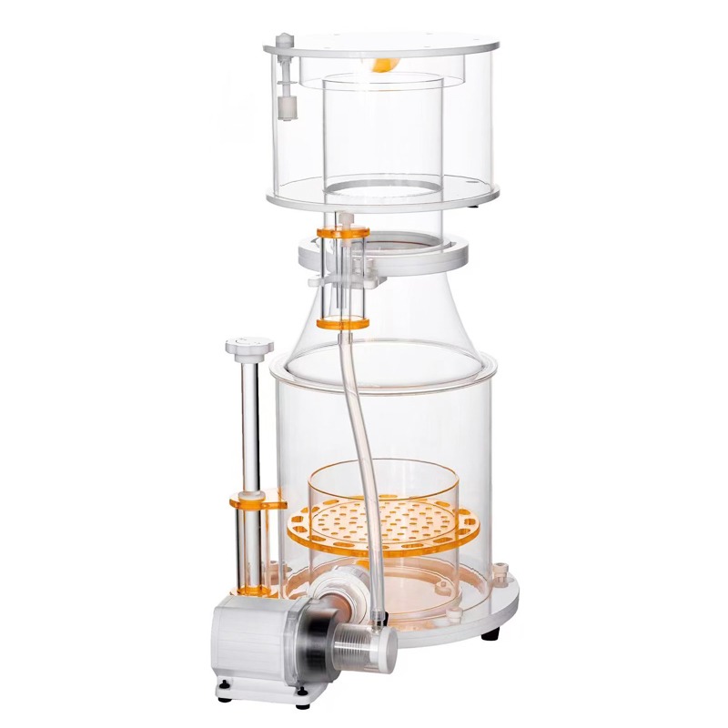 【Best-selling】DC Powered Preci - مراجعة Aquarium & Marine Science Center وسعره