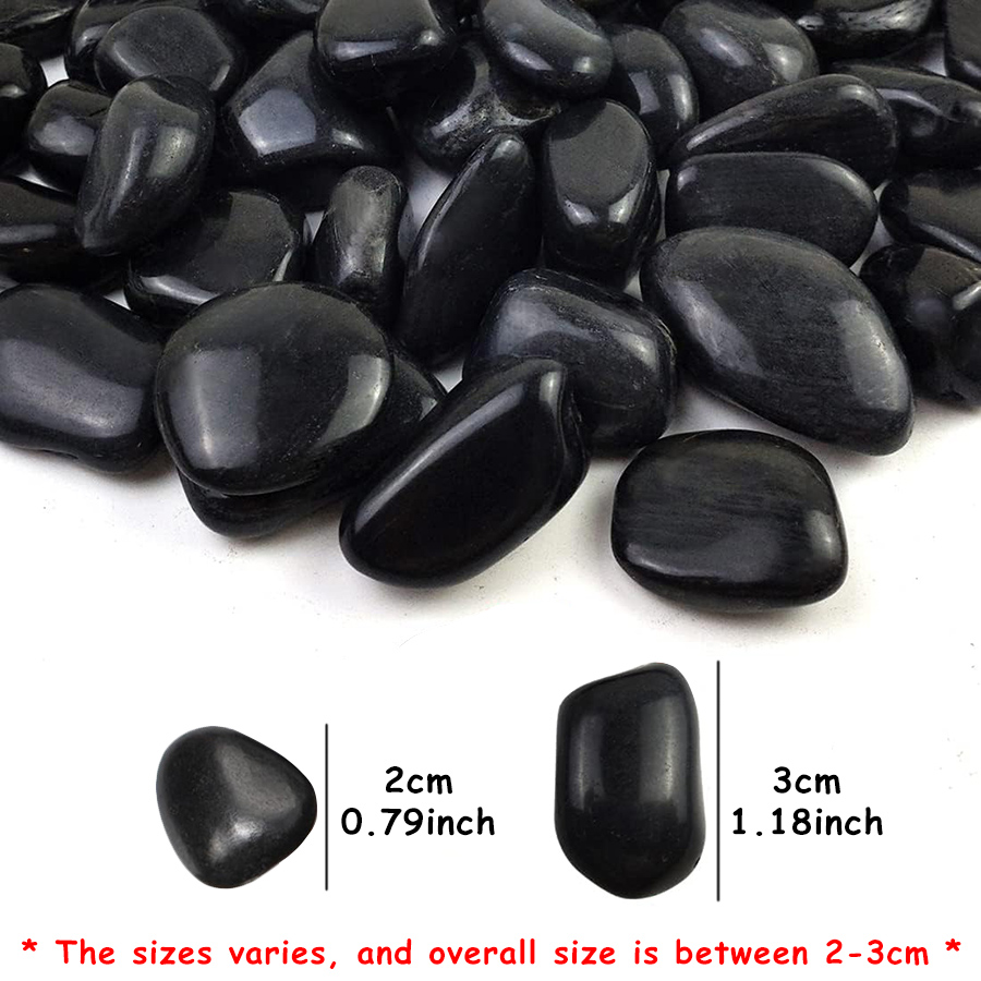 200g Black High Polished Natur - مراجعة Marine Aquarium Tanks وسعره
