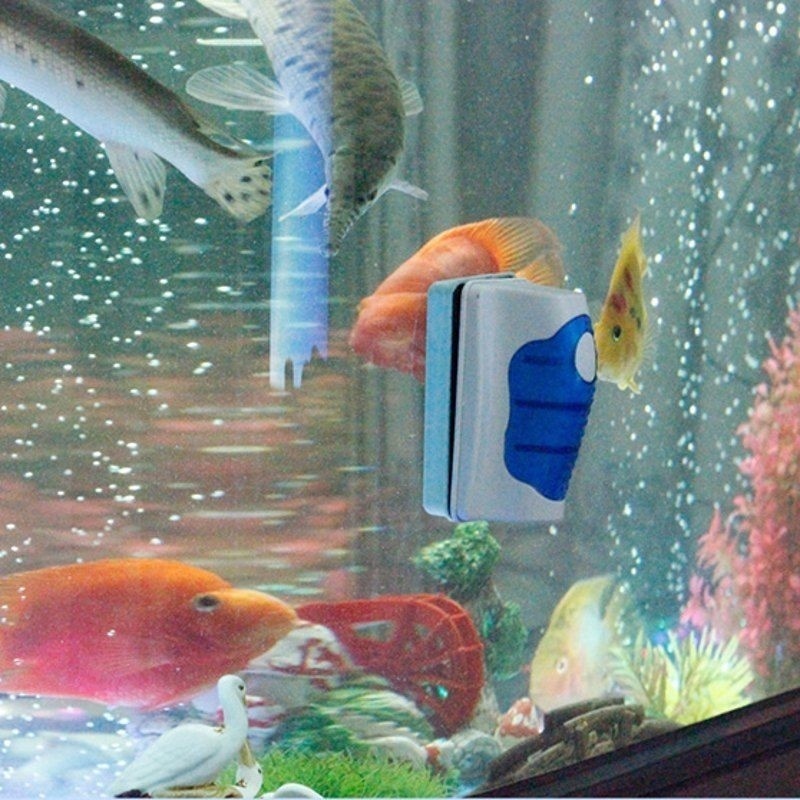 Fish Tank Glass Scraper Cleane - مراجعة Marine Aquarium Glass Scraper وسعره
