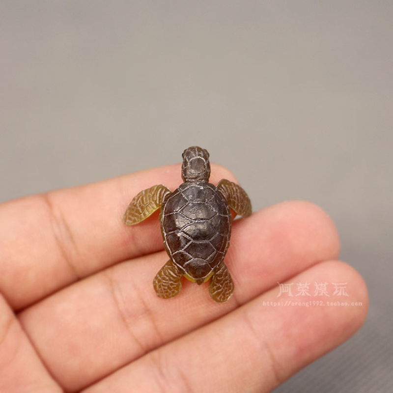 Marine Life Sea Turtle Model O - مراجعة Marine Aquarium Japan وسعره