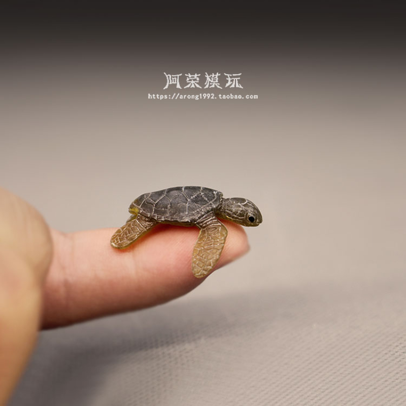 Marine Life Sea Turtle Model O - مراجعة Marine Aquarium Japan وسعره