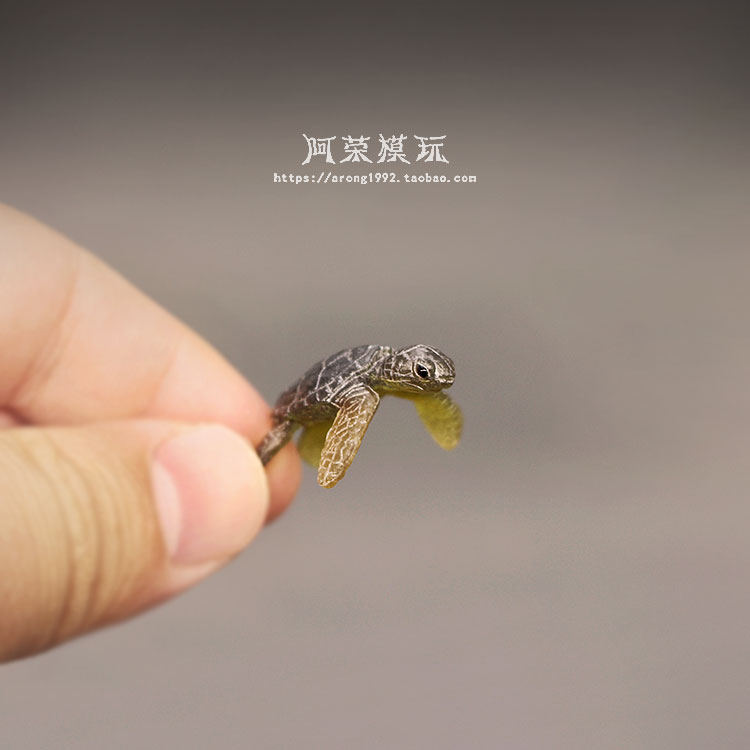 Marine Life Sea Turtle Model O - مراجعة Marine Aquarium Japan وسعره