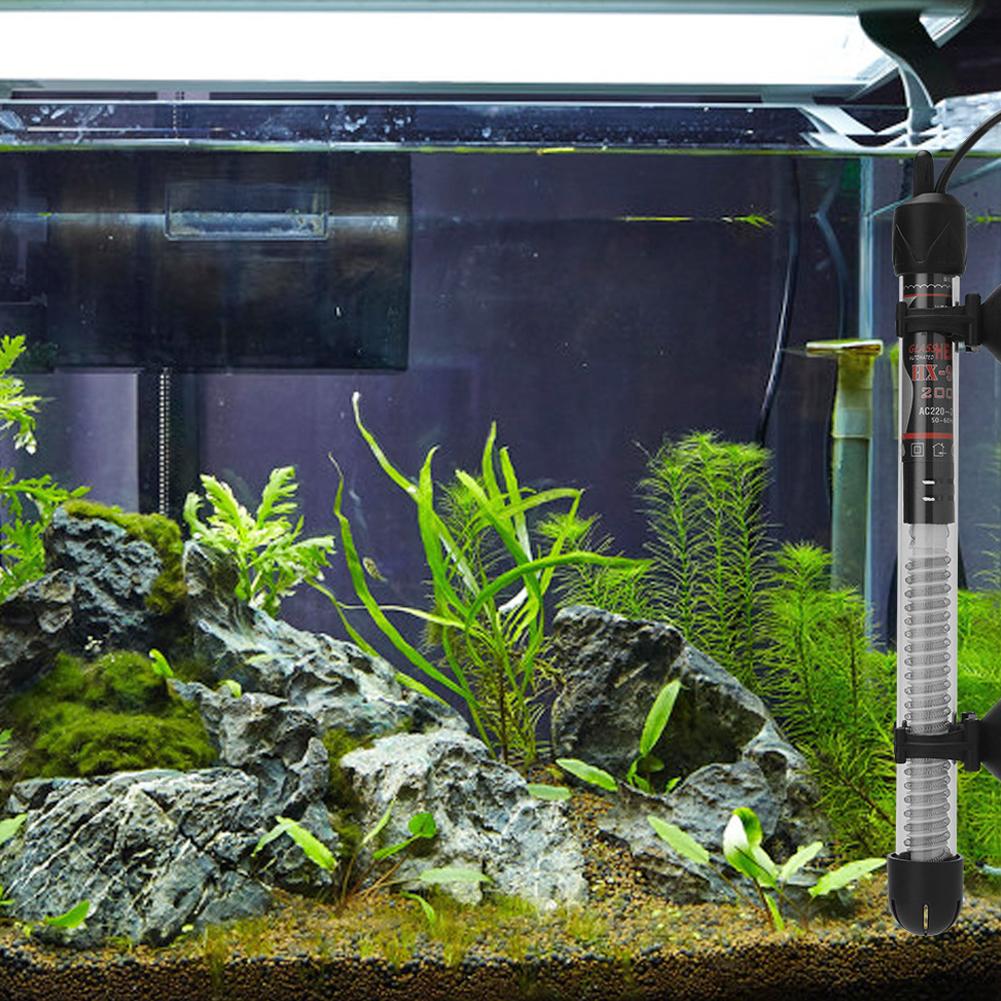 Adjustable Aquarium Heater 25W - مراجعة Marine Aquarium Nano وسعره