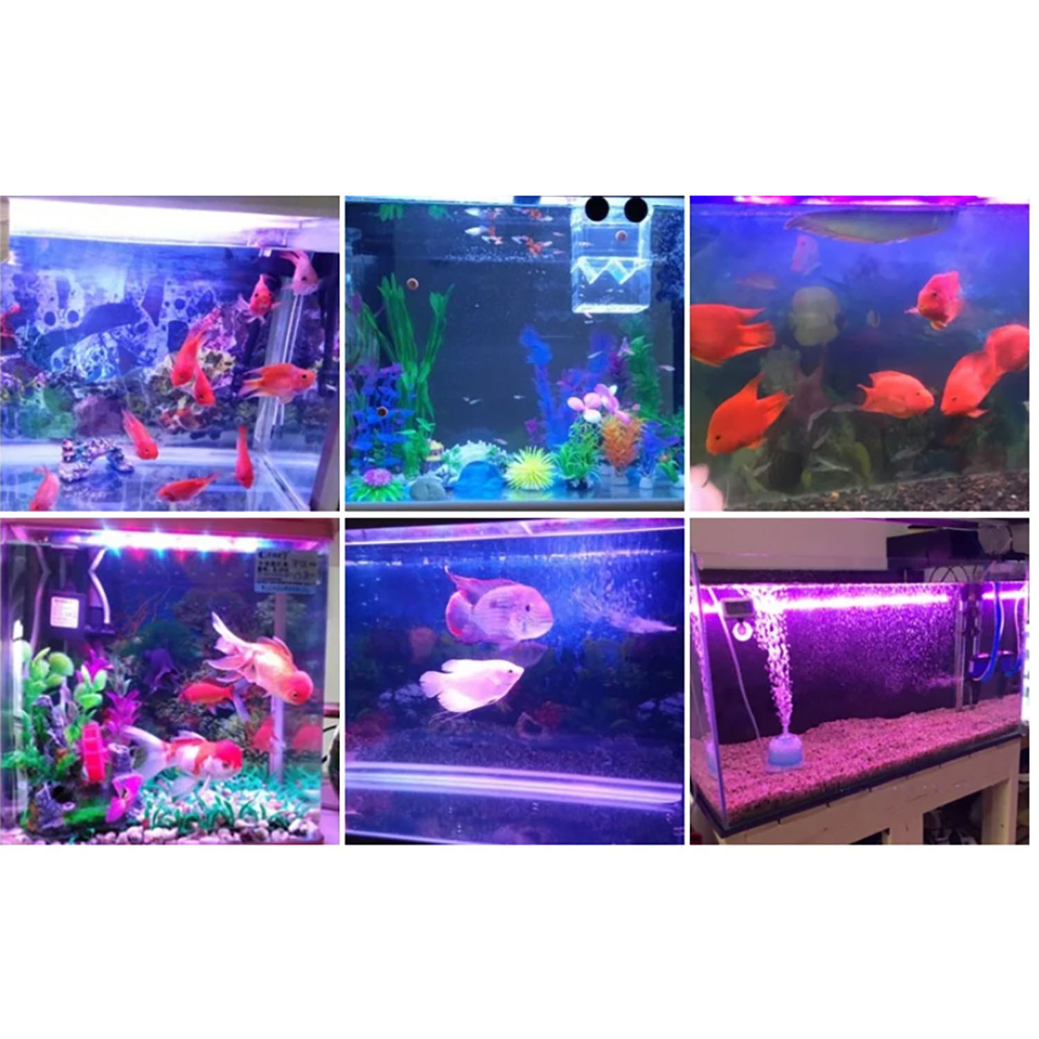 50W 60W 70W 100W RGB 26-28V Hi - مراجعة Marine Aquarium Uv وسعره