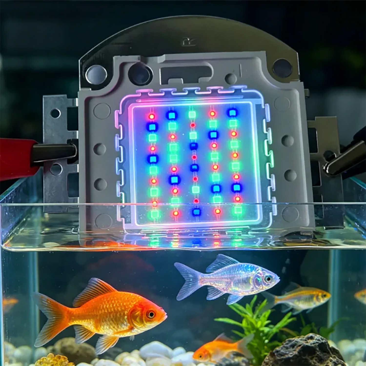 50W 60W 70W 100W RGB 26-28V Hi - مراجعة Marine Aquarium Uv وسعره