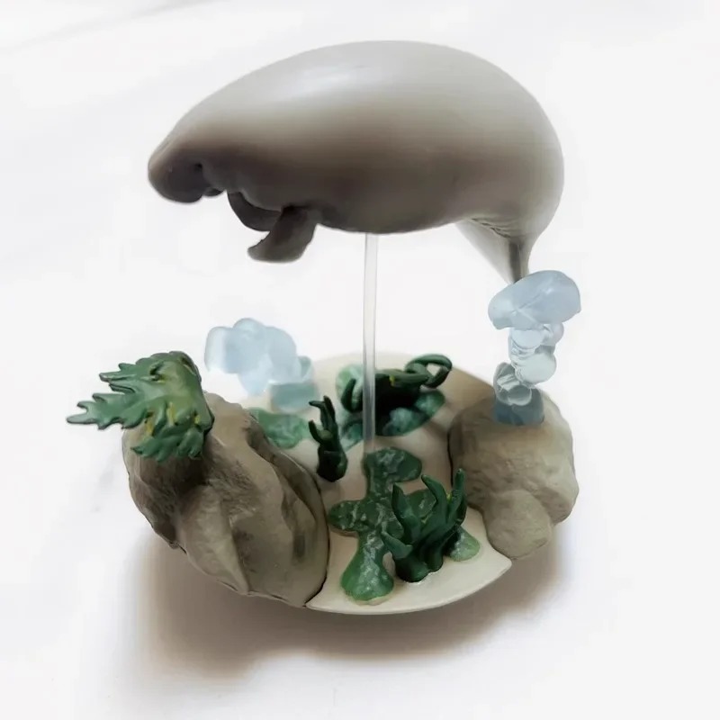 QUALIA Kawaii Gashapon Figure  - مراجعة Marine Aquarium Japan وسعره