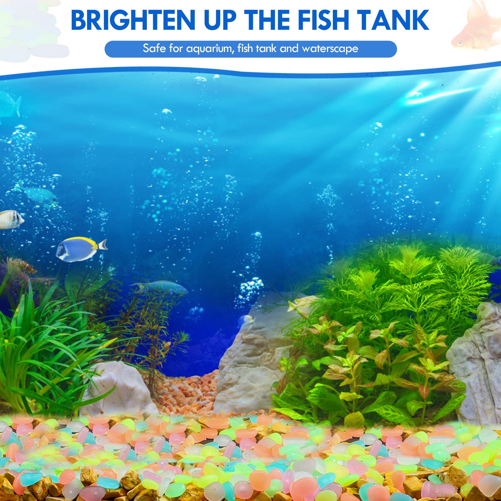 100Pcs Glow in the Dark Garden - مراجعة Marine Aquarium Tanks وسعره
