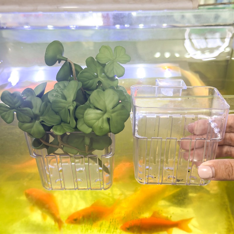 1/5pcs Aquarium Decoration Pla - مراجعة Marine Aquarium Tanks وسعره