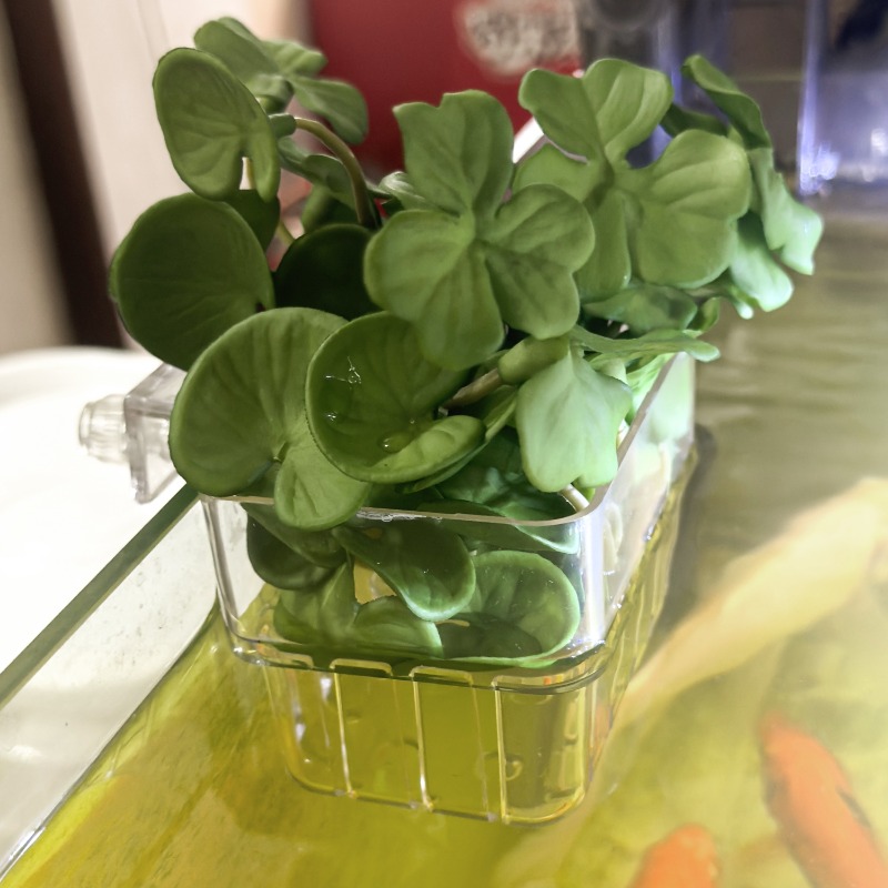 1/5pcs Aquarium Decoration Pla - مراجعة Marine Aquarium Tanks وسعره