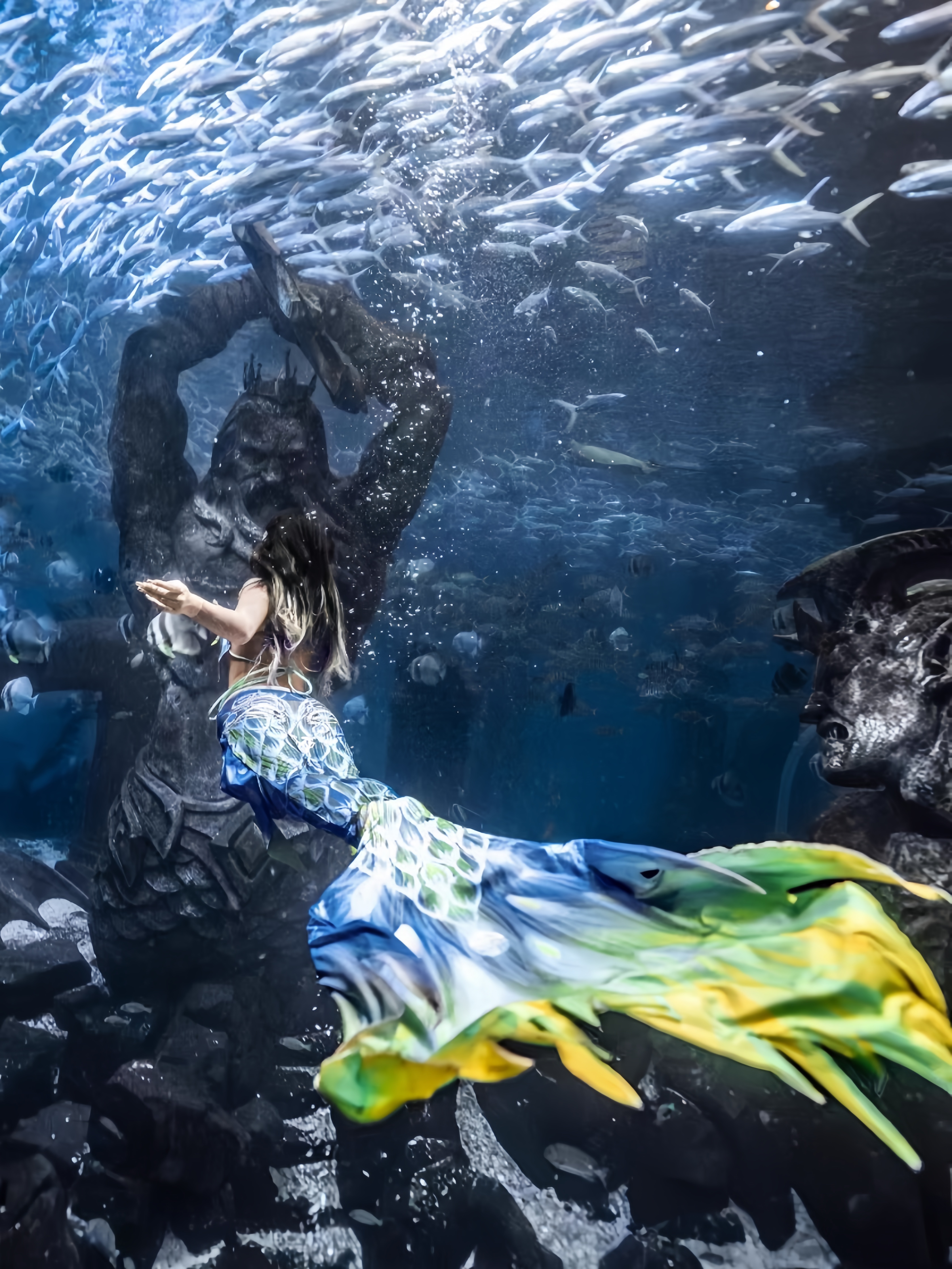 Mermaid Tail Adult Ladies Swim - مراجعة Aquarium & Marine Science Center وسعره