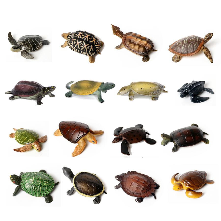 Realistic Miniatures Marine Li - مراجعة Marine Aquarium Tanks وسعره