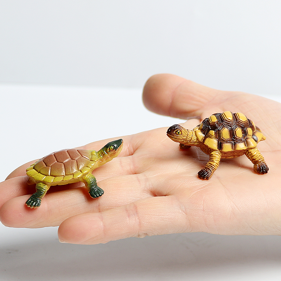 Realistic Miniatures Marine Li - مراجعة Marine Aquarium Tanks وسعره