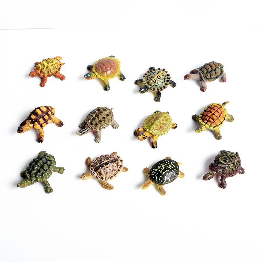 Realistic Miniatures Marine Li - مراجعة Marine Aquarium Tanks وسعره